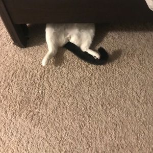 Meet your Posher, Tina